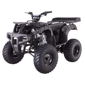 2023 TAO MOTORS RHINO 250CC – BLACK